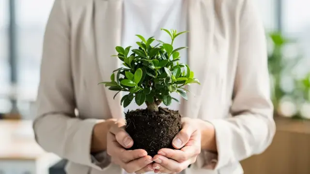 Nachhaltigkeit im Businessplan: Integration grüner Strategien für langfristigen Erfolg